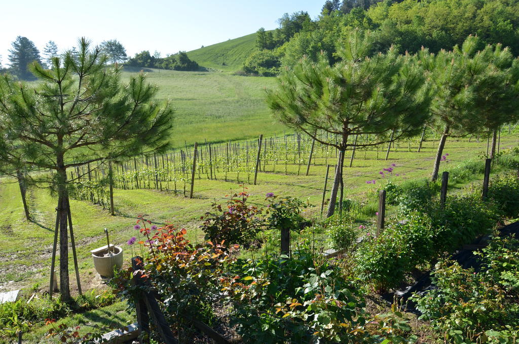 Отель Cascina Castagneto Castell'Alfero Экстерьер фото