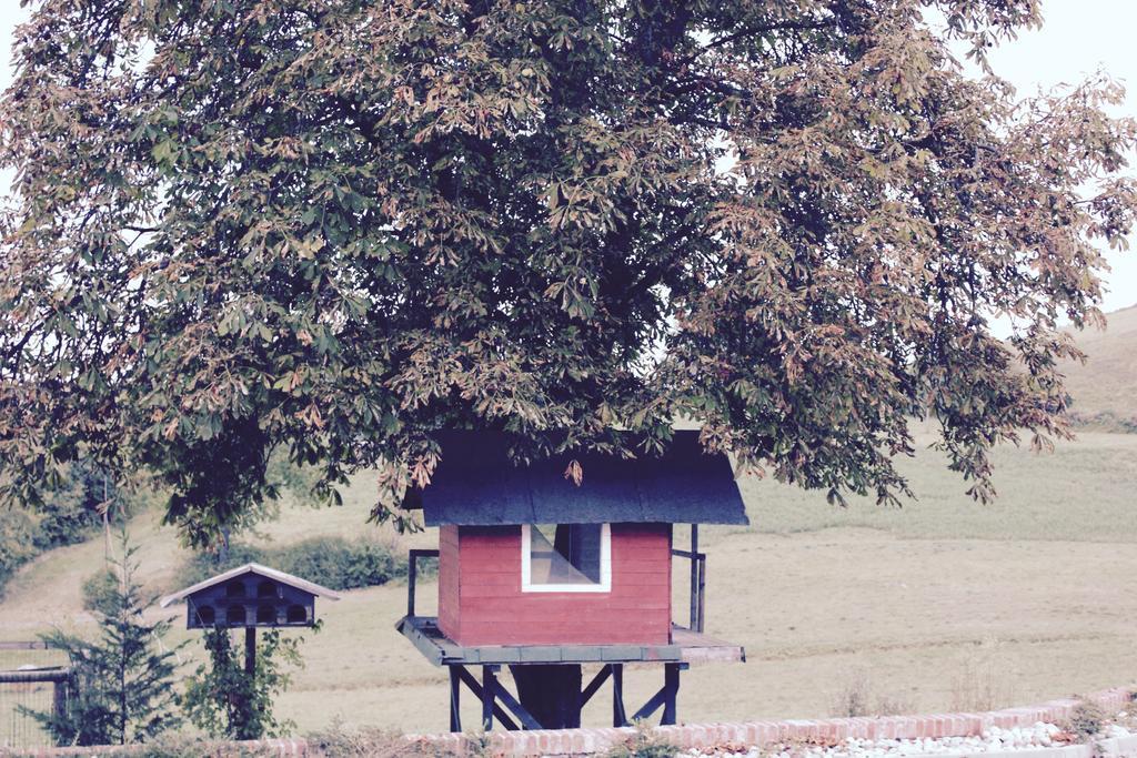 Отель Cascina Castagneto Castell'Alfero Экстерьер фото